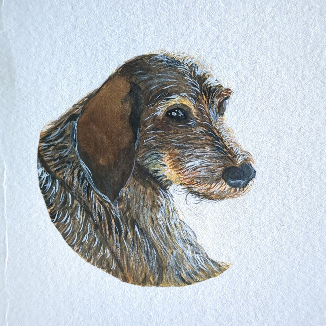 Seppl, Watercolor + gouache + colored pencil, 10,5 x 14,8 cm (A6)