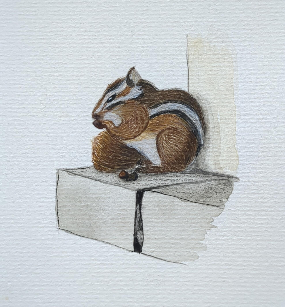 Jeff, Watercolor + gouache + colored pencil, 10,5 x 14,8 cm (A6)