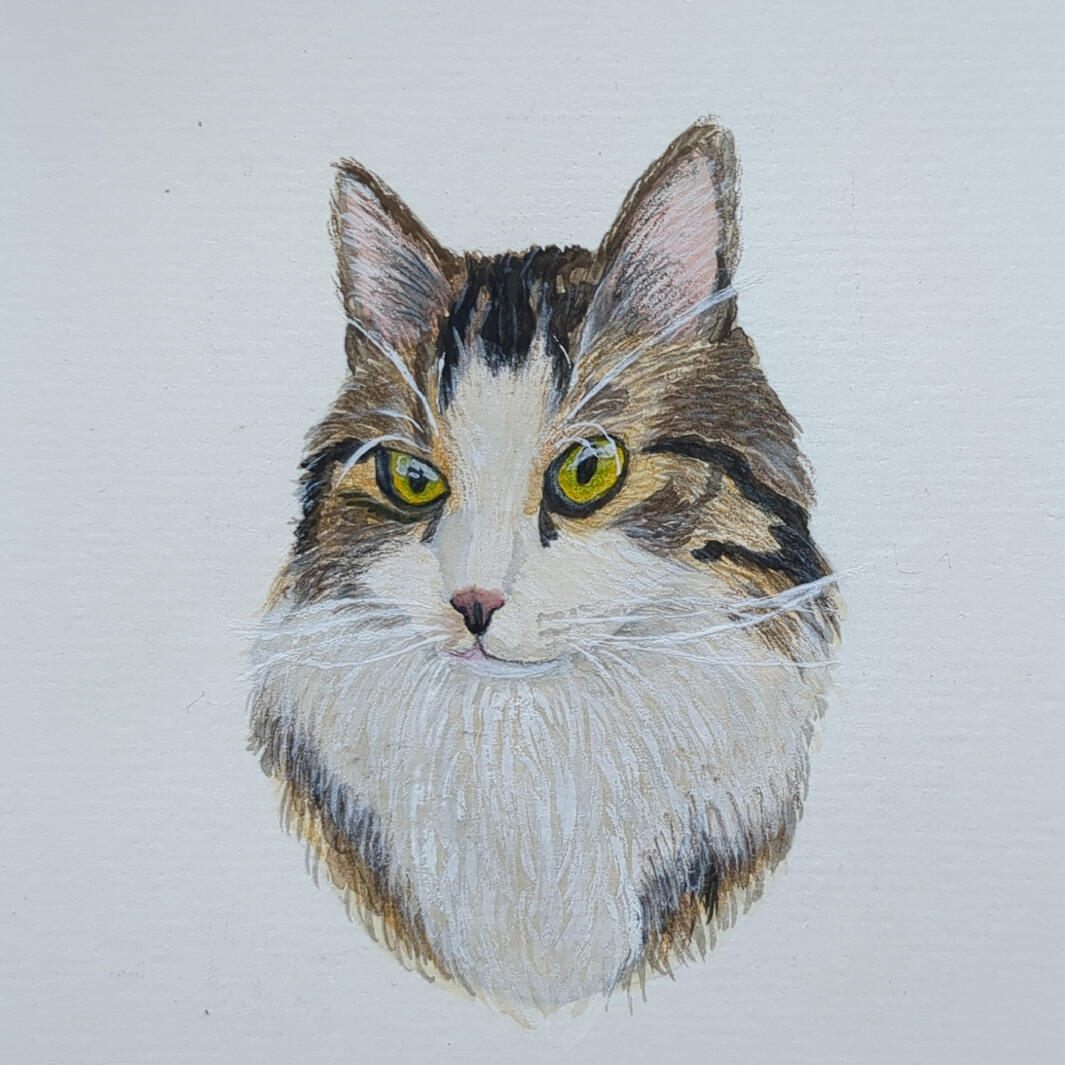 Scratchy, Watercolor + gouache + colored pencil, 10,5 x 14,8 cm (A6)