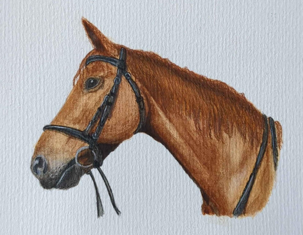 Prinz, Watercolor + gouache + colored pencil, 10,5 x 14,8 cm (A6)