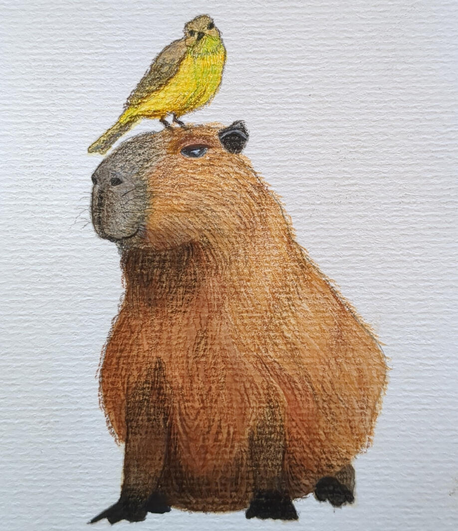 Capybara + Vogel, Watercolor + gouache + colored pencil, 10,5 x 14,8 cm (A6)