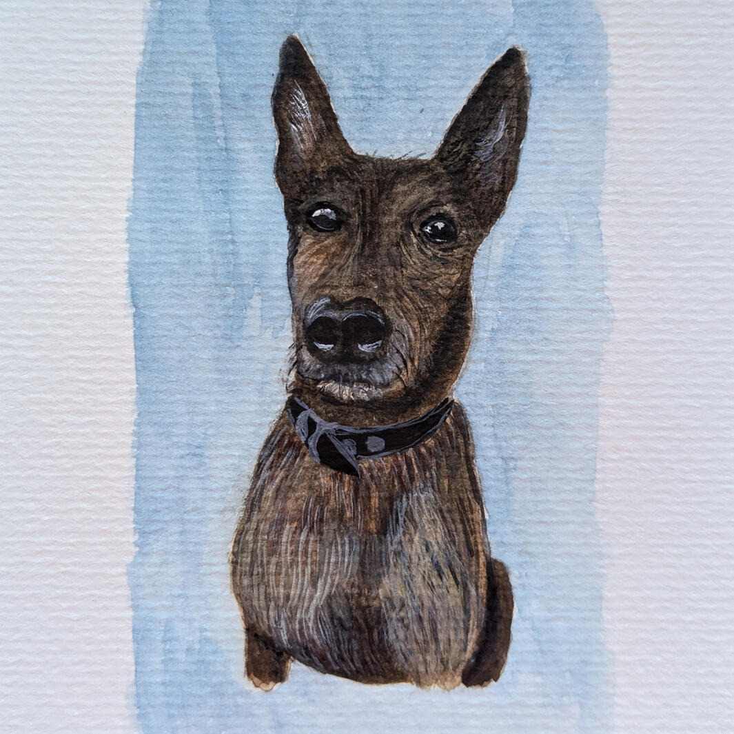 Tigra, Watercolor + gouache, 10,5 x 14,8 cm (A6)